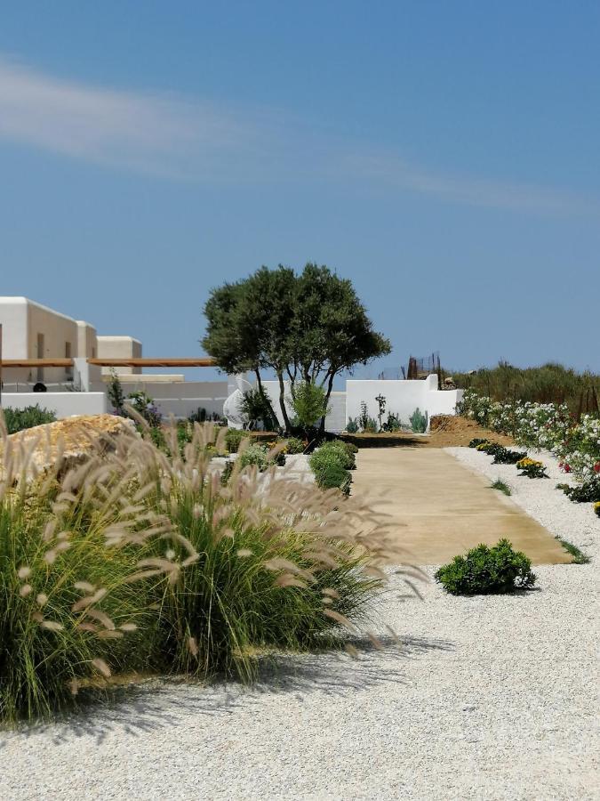 Xerolithos Natural Living Kato Sangrion Exterior photo
