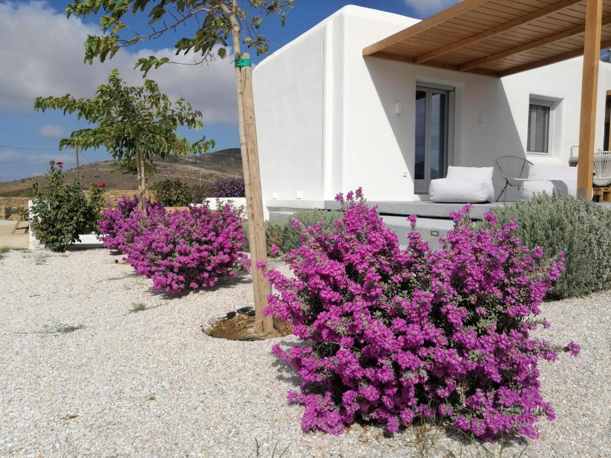 Xerolithos Natural Living Kato Sangrion Exterior photo