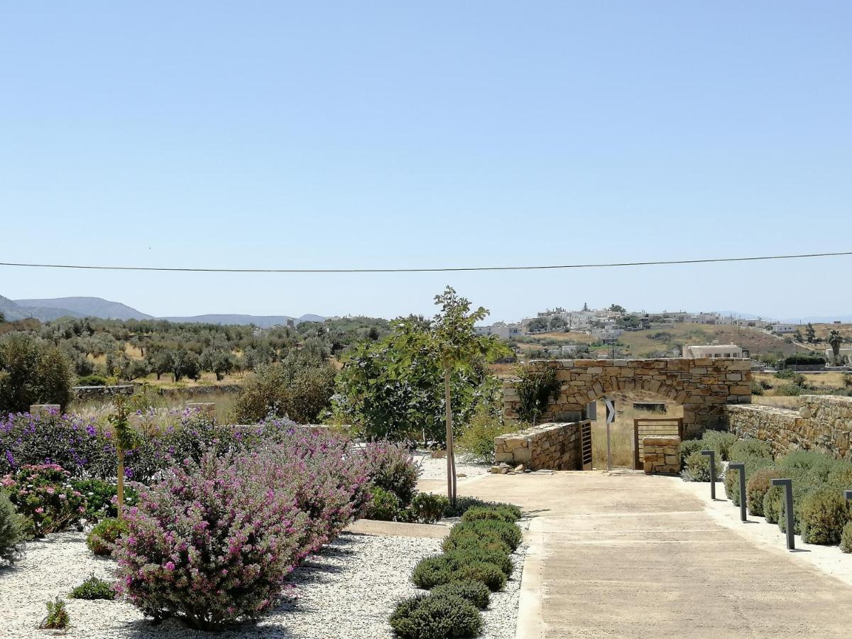Xerolithos Natural Living Kato Sangrion Exterior photo